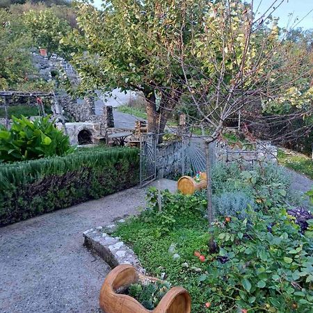 Country House "Lipa" Komarno Virpazar Buitenkant foto