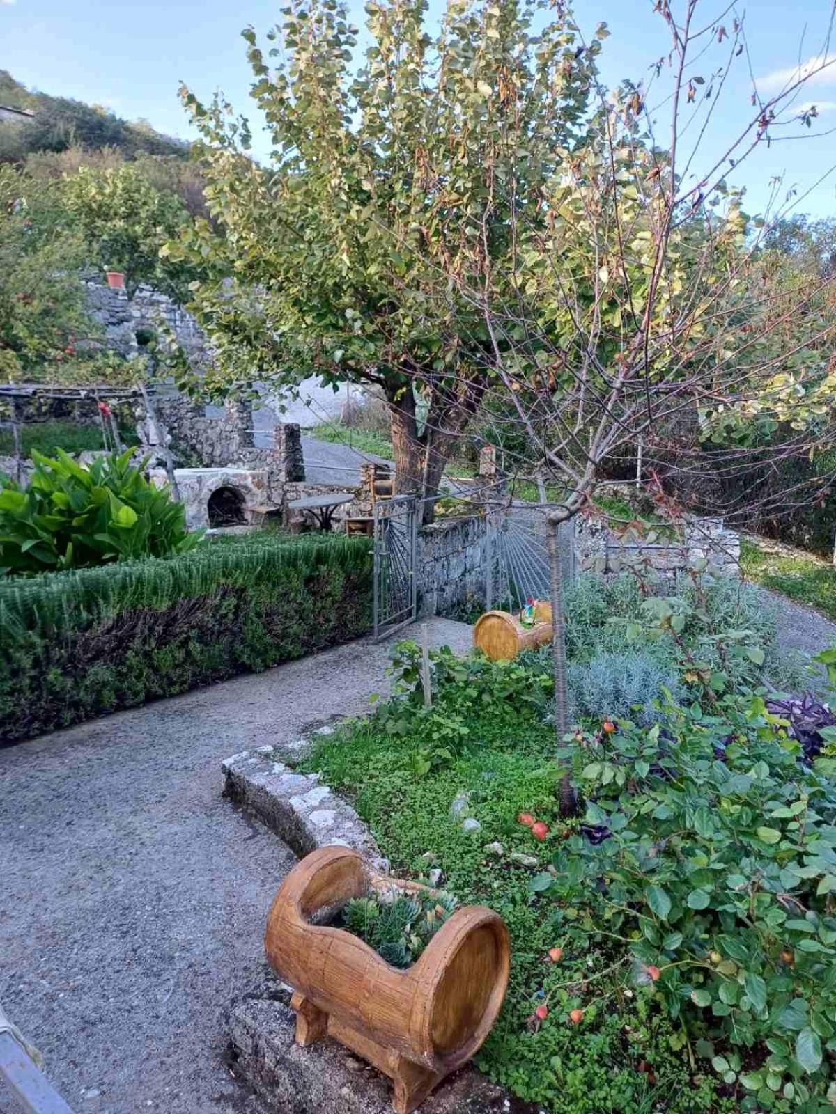 Country House "Lipa" Komarno Virpazar Buitenkant foto