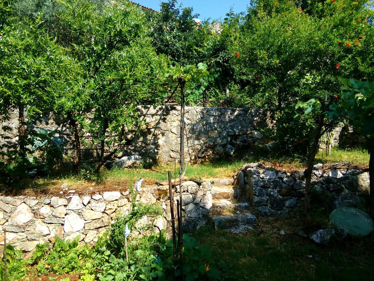 Country House "Lipa" Komarno Virpazar Buitenkant foto