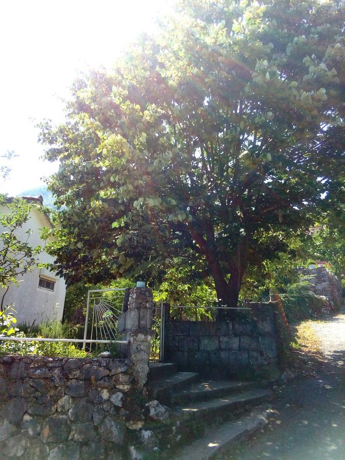 Country House "Lipa" Komarno Virpazar Buitenkant foto